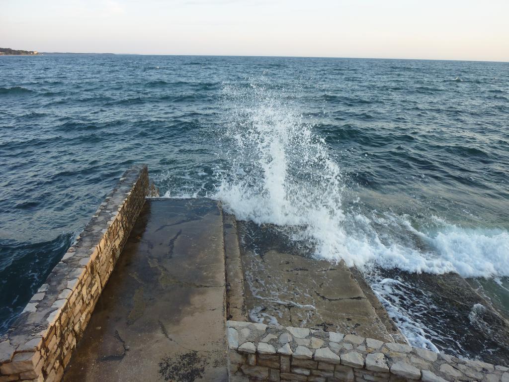 Studios Slavica Novigrad Istria 客房 照片
